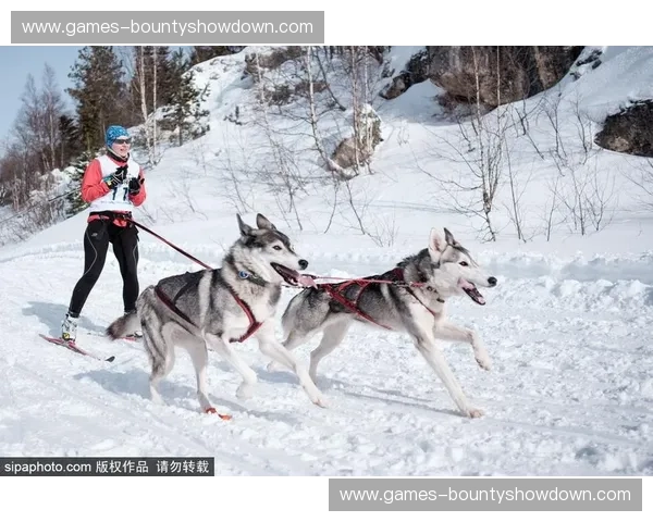 德国雪橇队团队赛统治力分析 源于接力棒次安排与状态调配